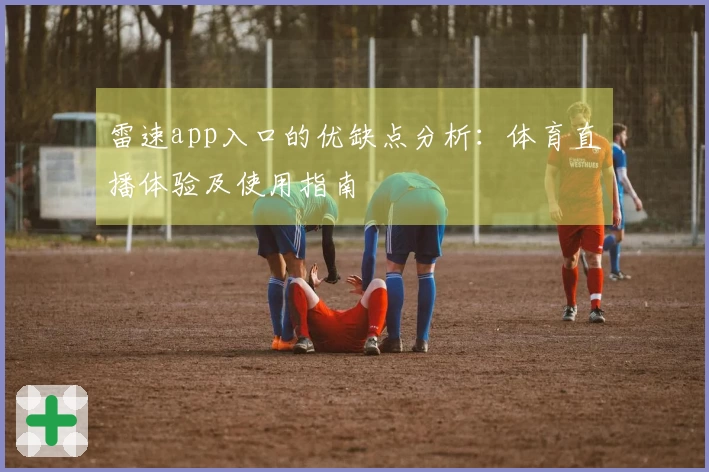 雷速app入口的优缺点分析：体育直播体验及使用指南